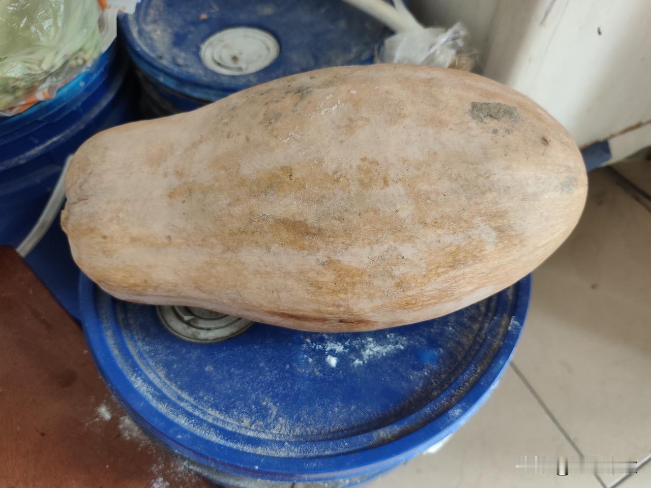 晒图笔记大赛5.6元买了1个老南瓜，一天吃两顿，挺好好。