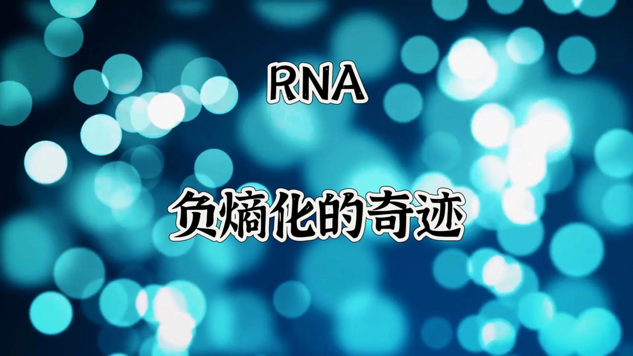 《穿越熵的迷雾：RNA负熵化的科学揭秘》
一、熵的概念及其与生命的关系
熵是热力