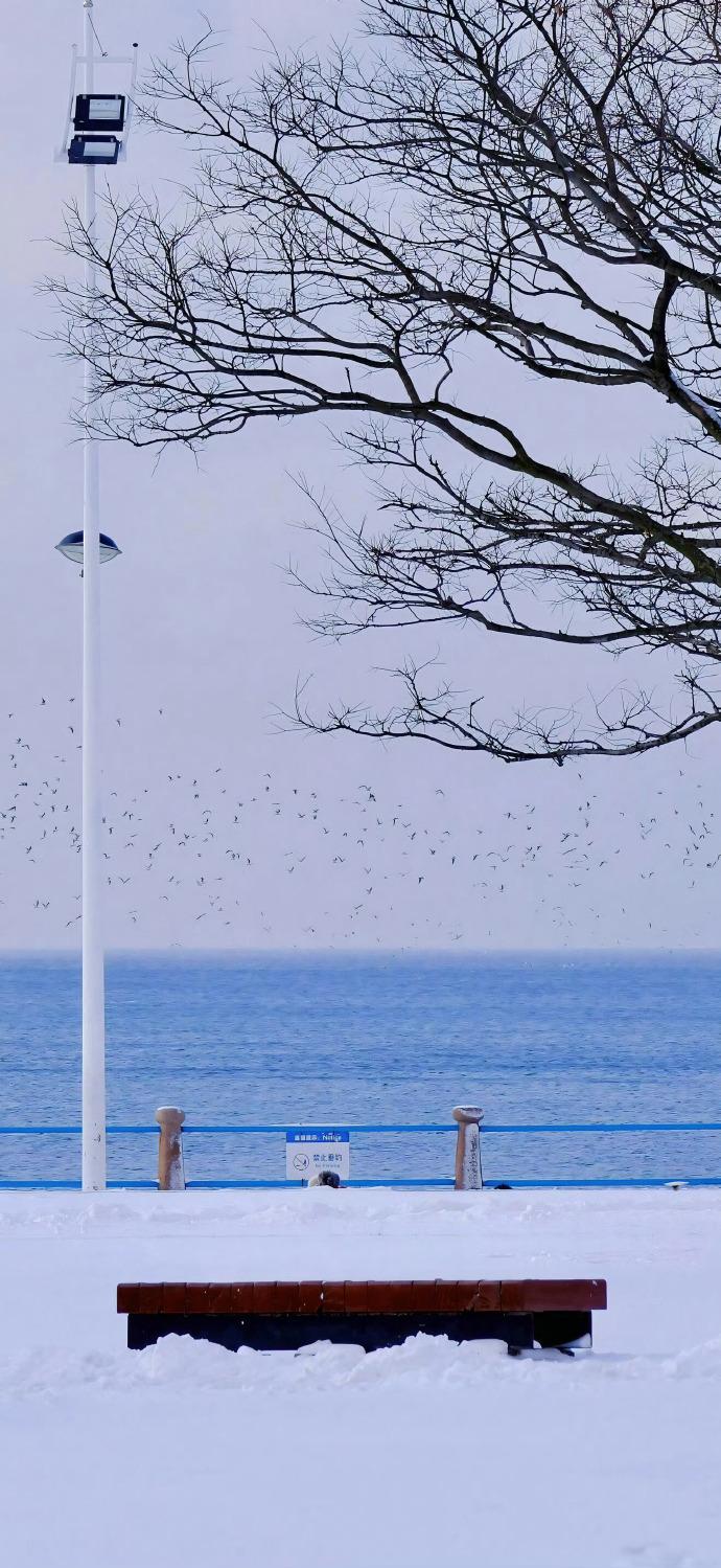 老辈人常提的“三九冷不冷，就看冬月初五”，是古人在长期生活实践中总结的气候预判心