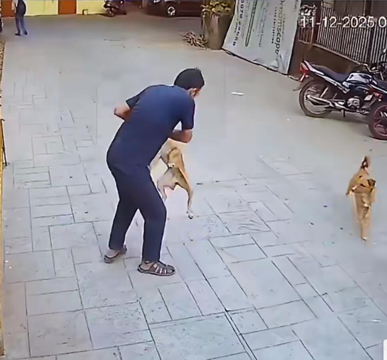 孟买一只流浪狗在一天内咬伤16人，由于恶犬咬完人就逃窜导致无法第一时间捕获，印度