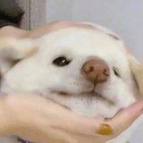 小熊猫热谈体育