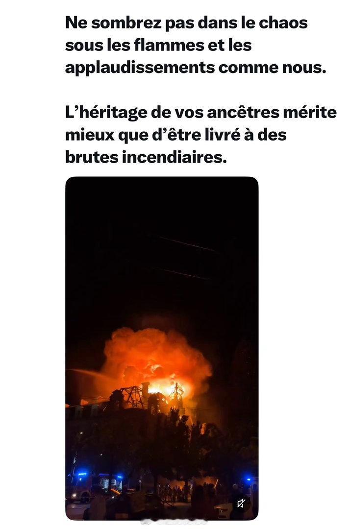 一位法国 人在外网上悲愤疾呼：我想向全世界讲述法国正在发生的事情。请听我说。他们