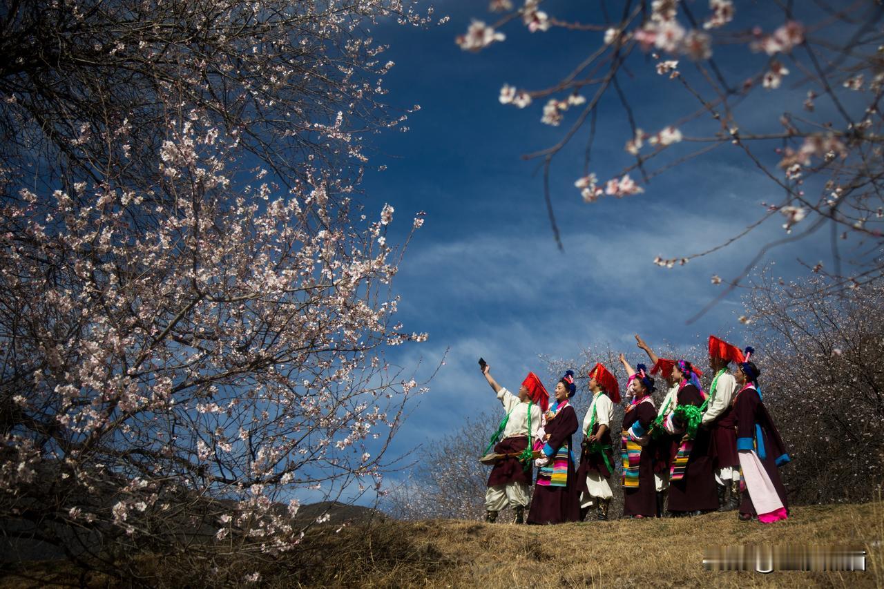 昌都芒康《桃花季》“川藏线——遇见最美的风景”摄影展获奖作品18
2023年4月