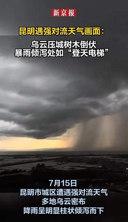 雨水不是“落”下来的，是“灌”下来的，一柱接一柱的雨幕，垂直砸向地面，远远望去就