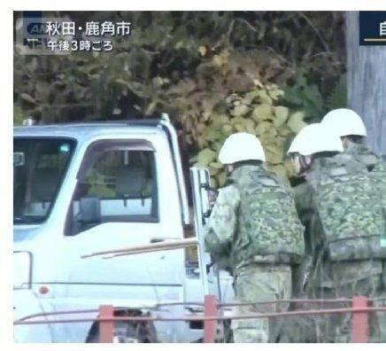 《日本自卫队和熊拼刺刀？日本民众无语了》据多家日媒报道，日本自卫队已派人前往熊灾