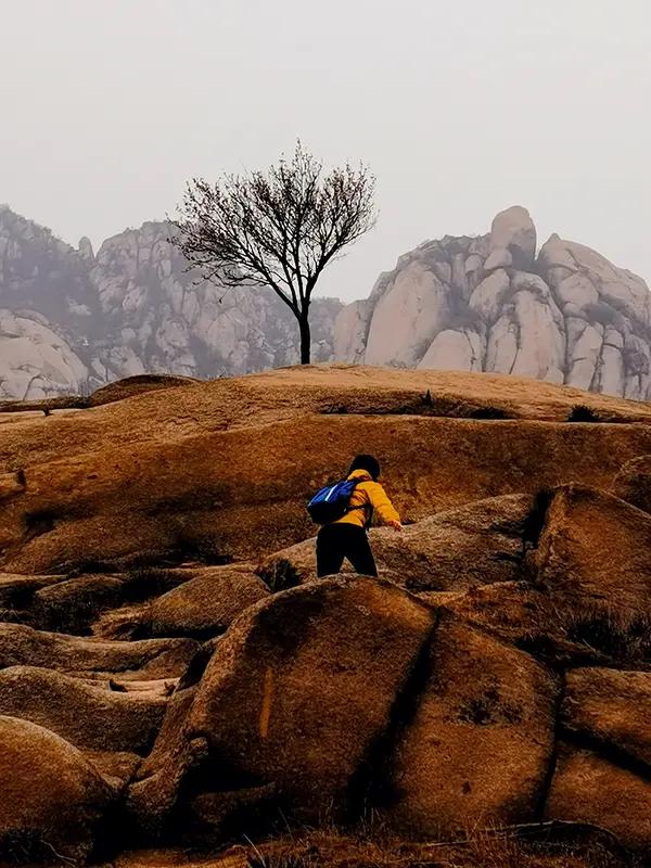 3名驴友为拍照喝茶擅闯保护区失联，这事儿真让人无语。保护区那是有规定不能随便进的