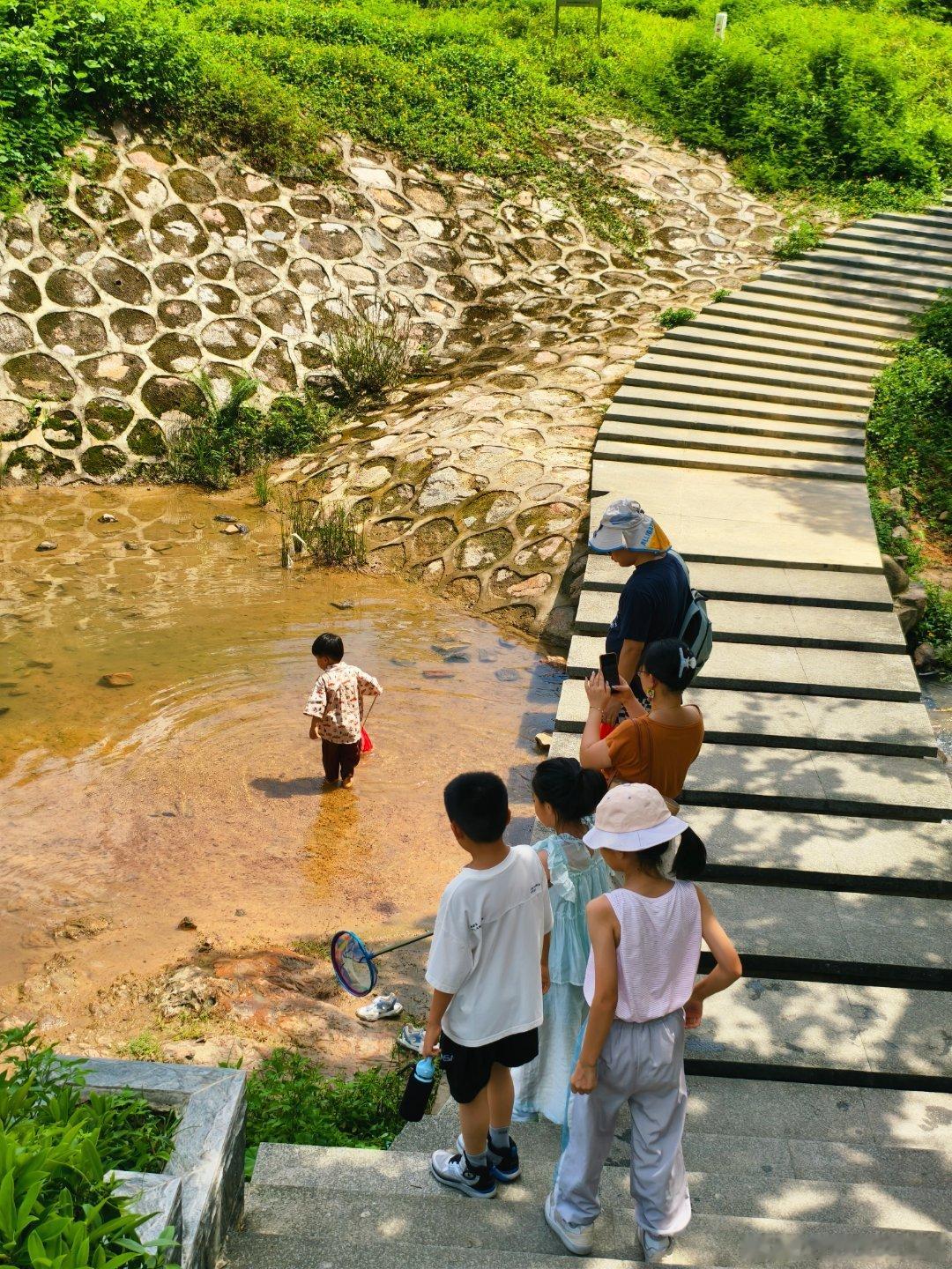 生态中山 旗溪·竹林溪水漫步道🎋，被排洪渠工程中断一两年的竹溪步道重新开放还延