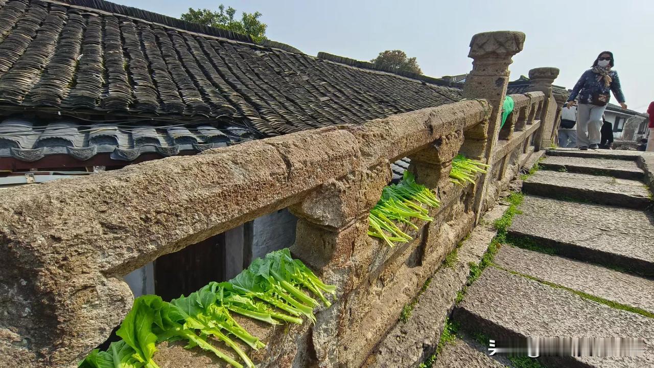 江南水乡
自古钟灵毓秀
两步一故居
三步一典故
踏入鲁迅先生祖屋
看见一棵盛放的