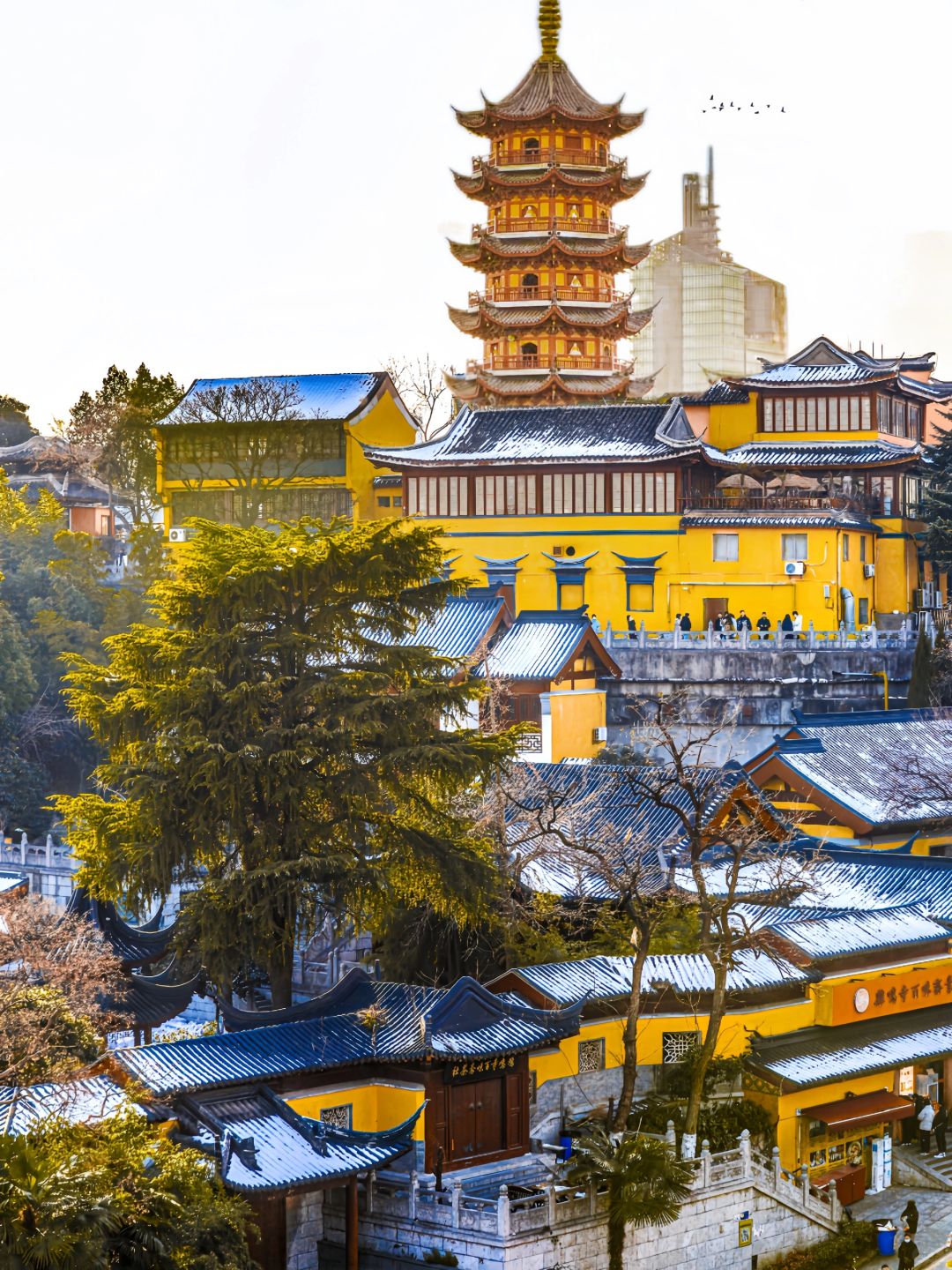 真真真后悔才来南京❗真的 附1天攻略