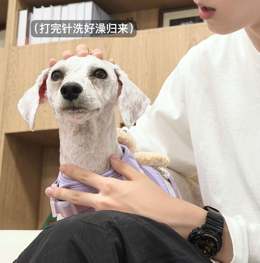 不明显兄弟头像 