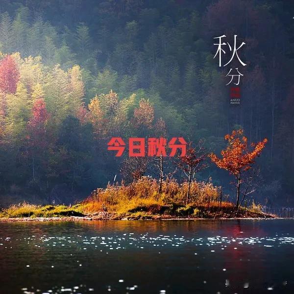 秋分这天阴雨连绵，让人忍不住担心今年冬天是不是会很冷。老祖宗留下不少农谚，像“秋