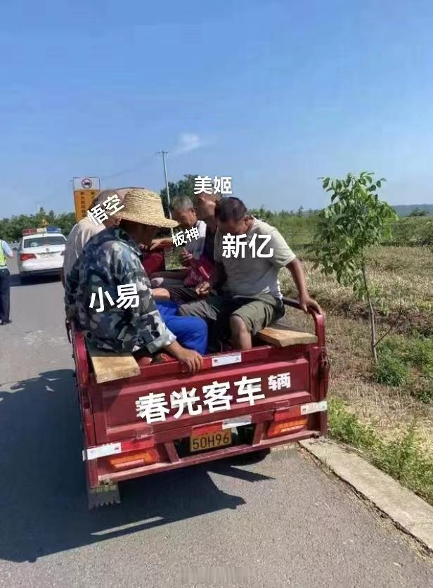 五大神兽好春光 ​​​