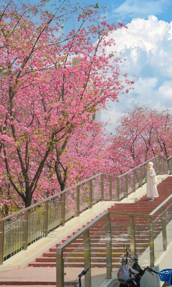 在昆明！！唯一通往春天的阶梯🪜被震撼！！
