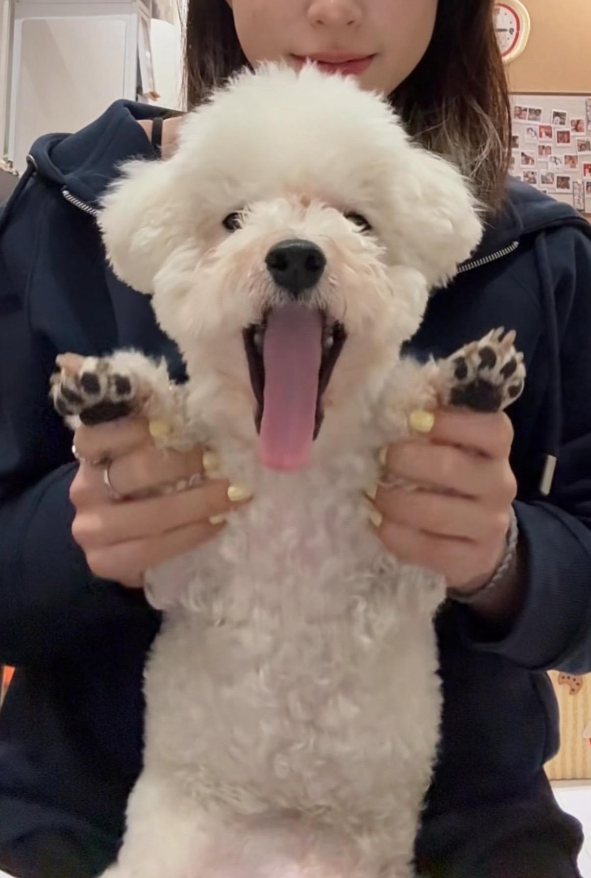 这个星期的我🥰🐶