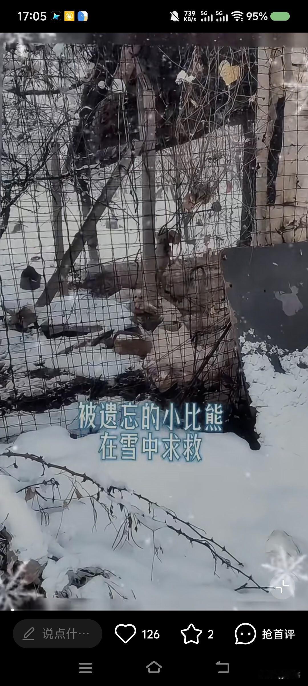 太可怜了！这天一位小哥哥和朋友去欣赏雪景，当他们走到一个废弃的棚子的时候，看到了