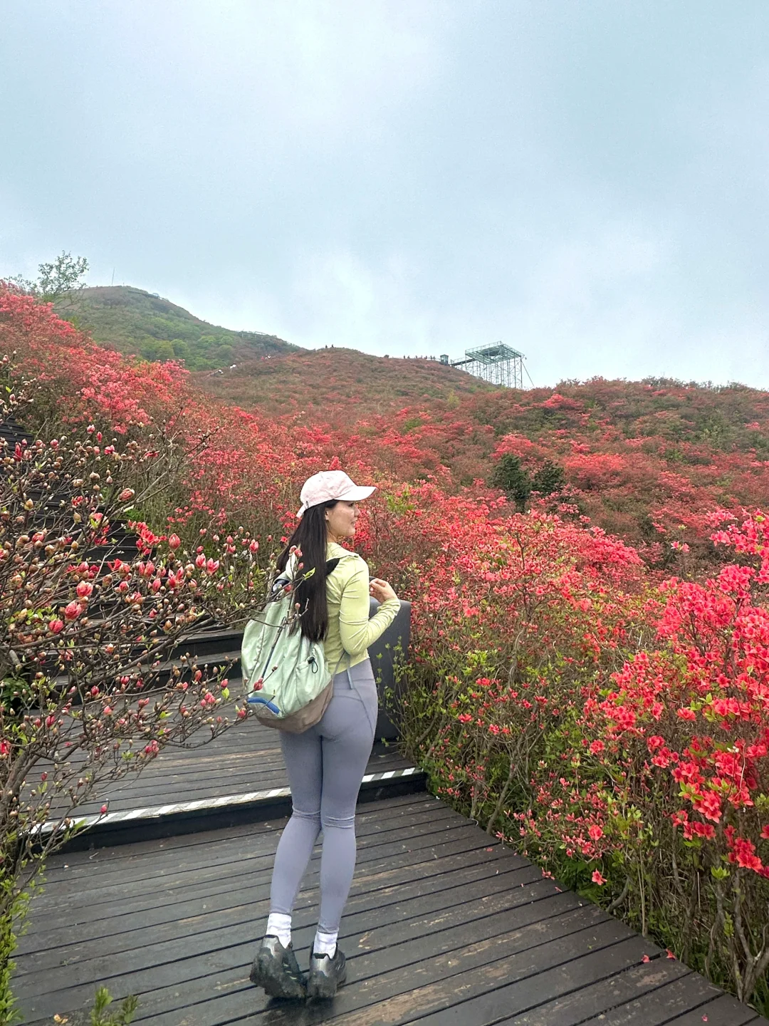 答应我！别错过5月的大围山杜鹃花