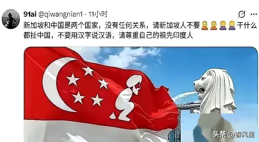 这两天，外网被一句极度刺耳的反讽刷爆了

新加坡甩锅？怒骂“东方大国”？在脸书、