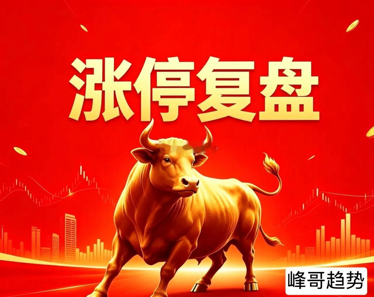 06月09日 涨停逻辑复盘🧩 PCB（24家）- 泰坦股份：电子织布气织机+纺