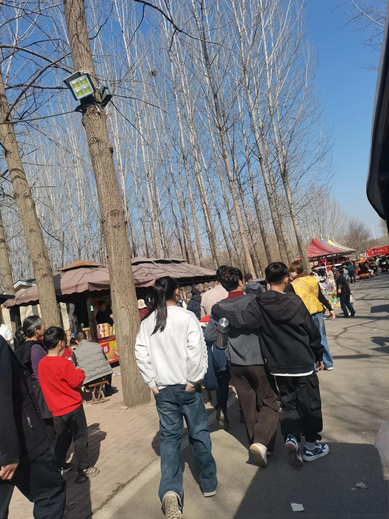 大年初四[爆竹]
诸城动物园，
人比动物多，
园区的观光车都是堵车状态，
动物被