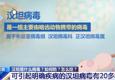 汉坦是什么病毒?如何防 怎么控汉坦是什么病毒?如何防 怎么控流行性出血热是由汉坦