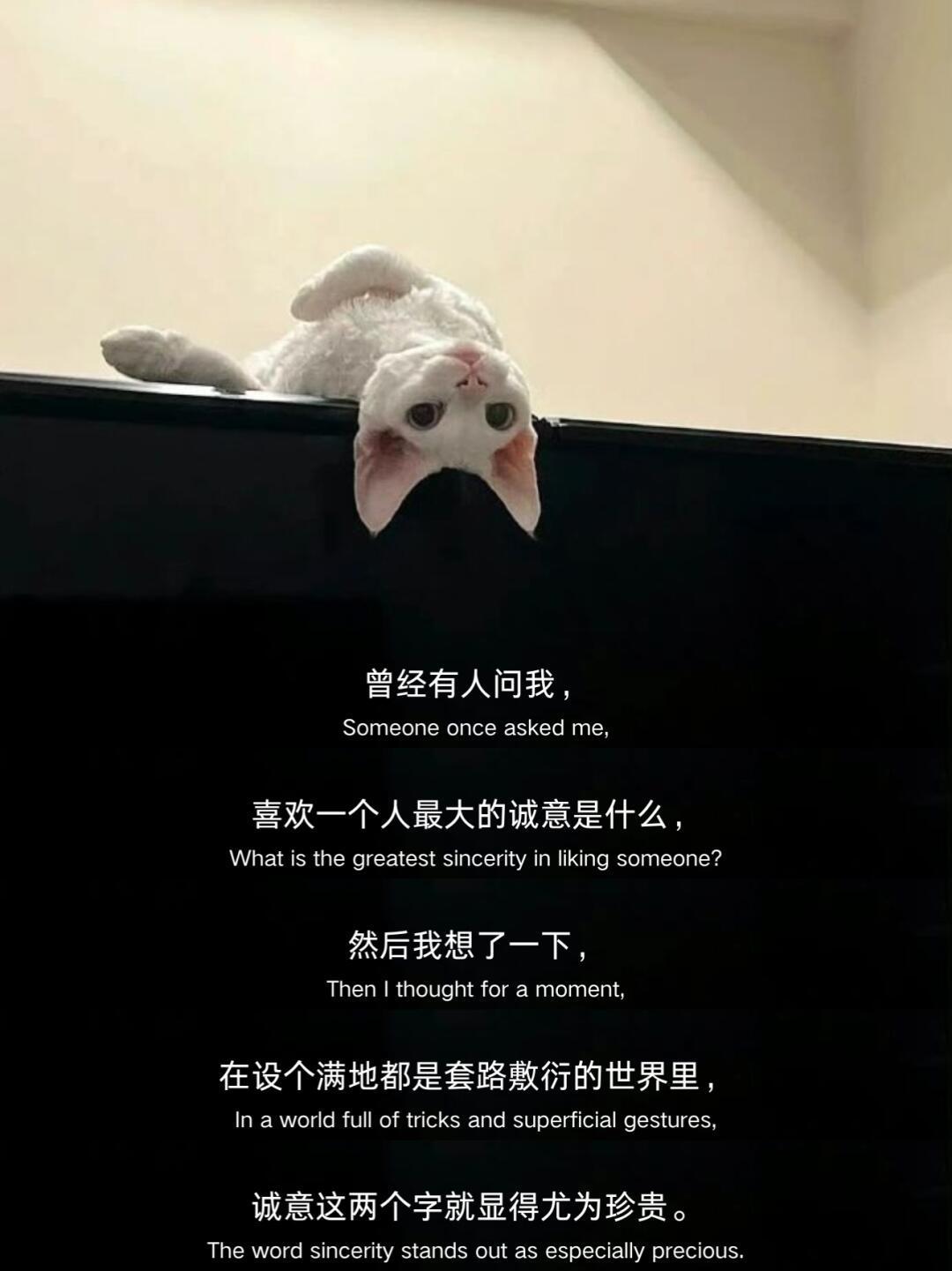 突然感觉被这段话治愈了。。。 