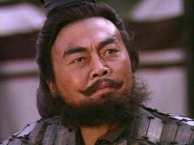 公元264年，成都乱了。魏军大肆劫掠，蜀汉太子刘璿当场被砍死，张翼、蒋斌一帮高官