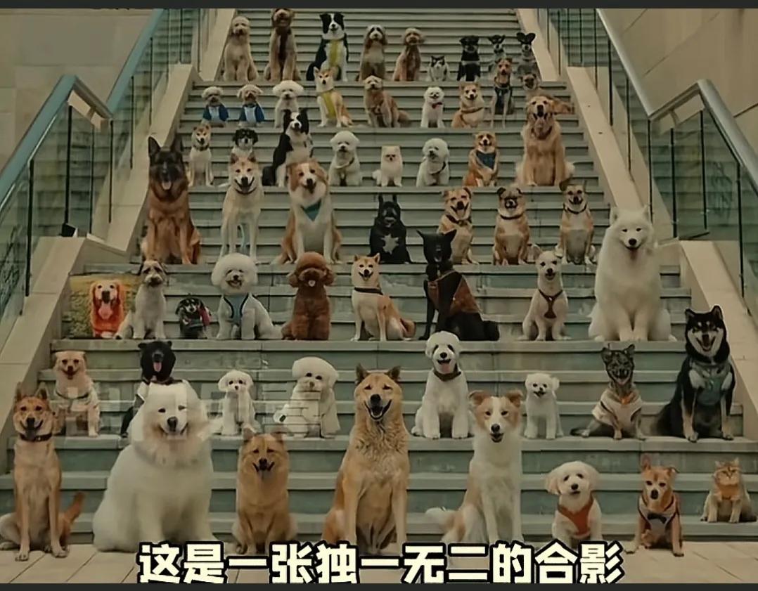 高层电梯费怎么收一直都是个问题。
无论是高层，还是多层，一二三层理论上并没有坐电