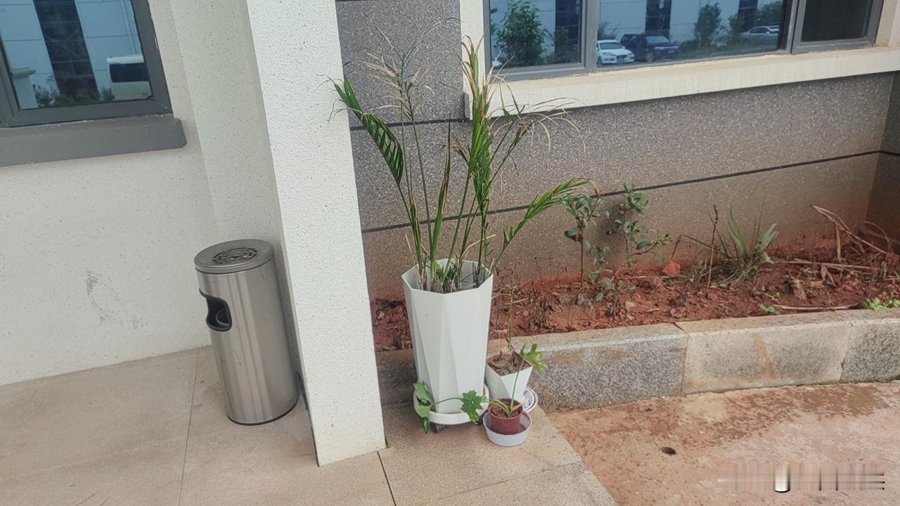 风水先生

今天公司的老板专门请了一位风水先生来公司，每个地方，每个办公室每个角