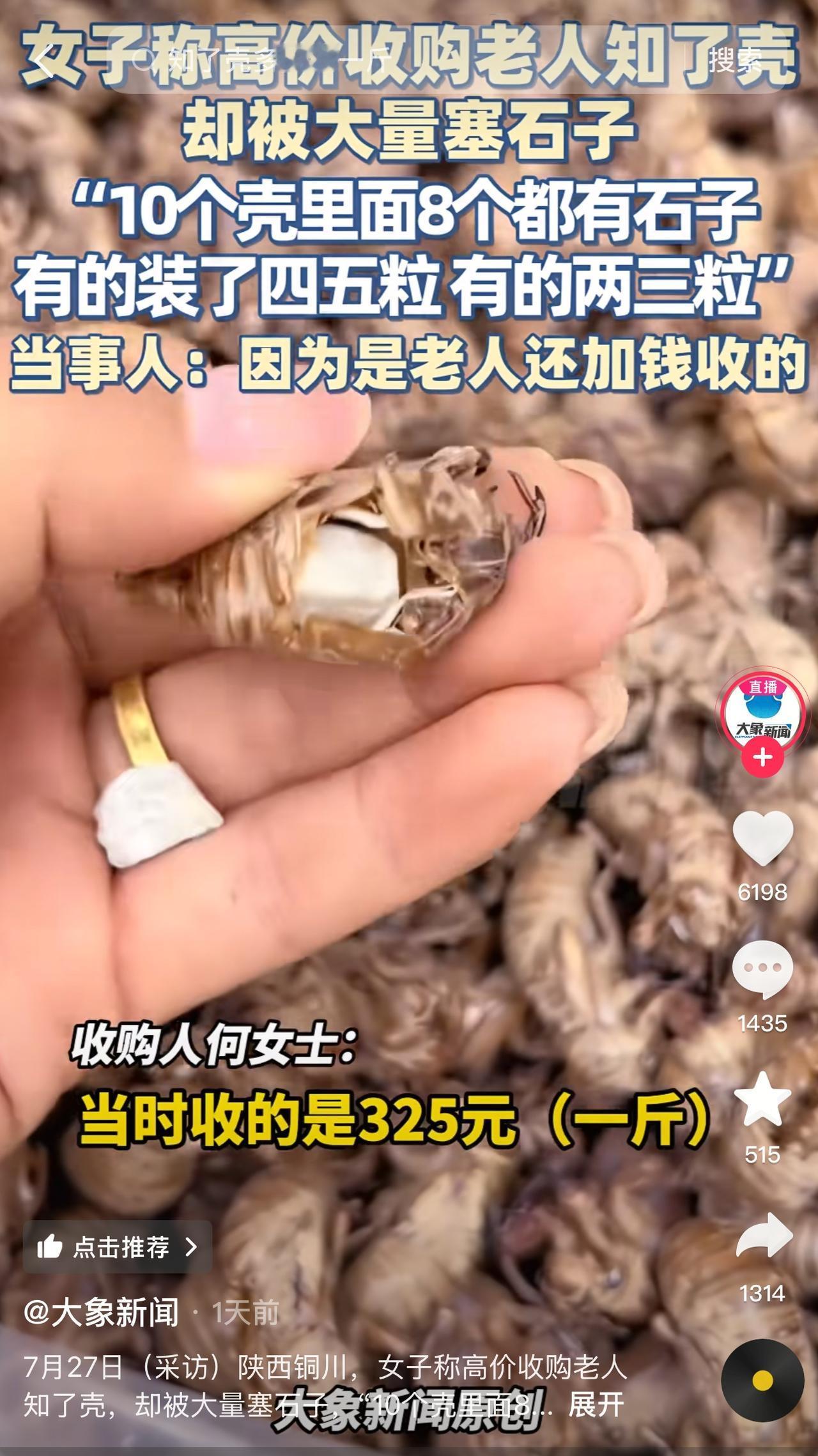7月27日，陕西铜川，女子收购知了壳，发现对方是老人，于是善心大发，以每斤涨幅5