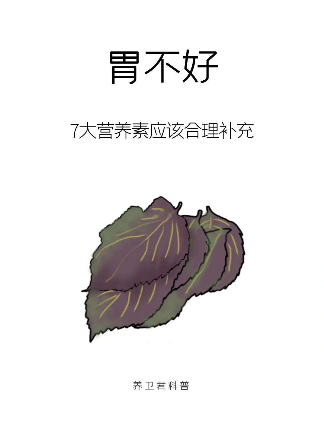 胃不好的人，7大营养素应该合理补充