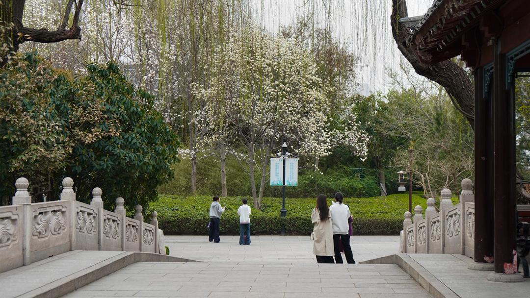 在春日的济南，百花洲泉水老街和着大明湖，宛如一幅诗意画卷。青石板路被暖阳轻抚，泛