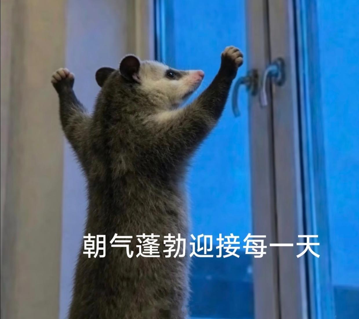 早安🌞