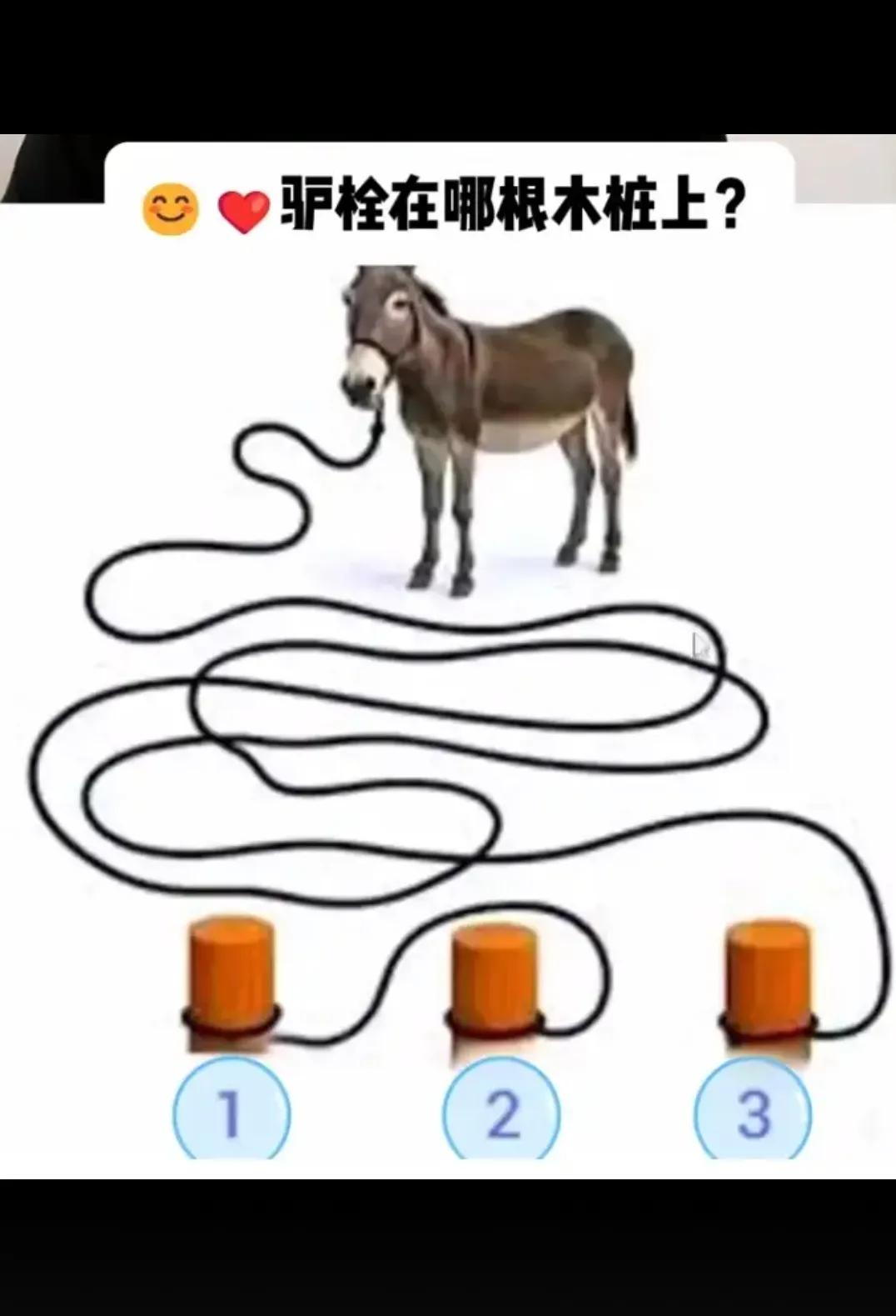 驴拴在那个木桩上？？？？