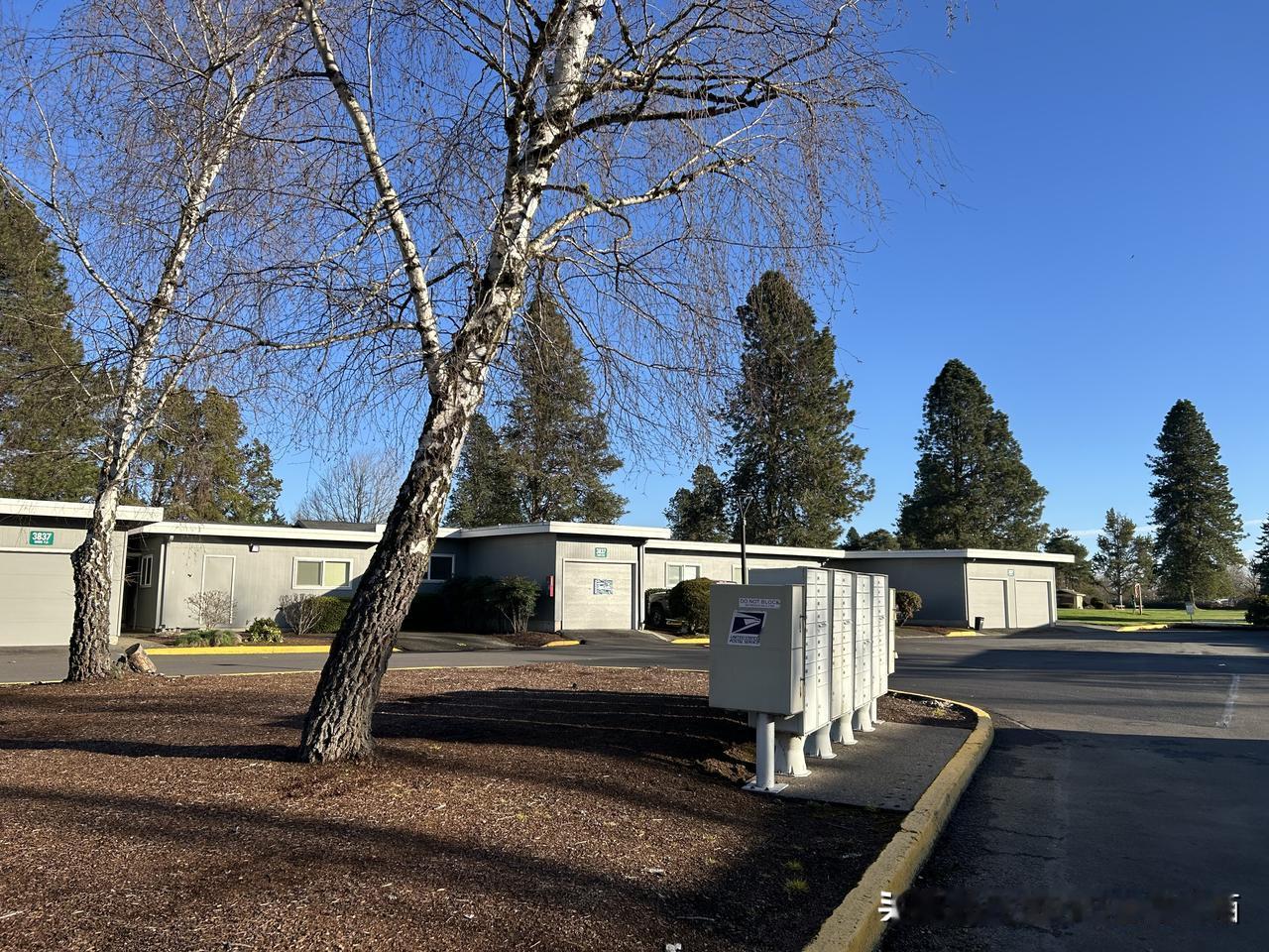 社交媒体给了每个人一只“麦克风”，人人都有了发言权，只要观点“新颖、独特、迎合”