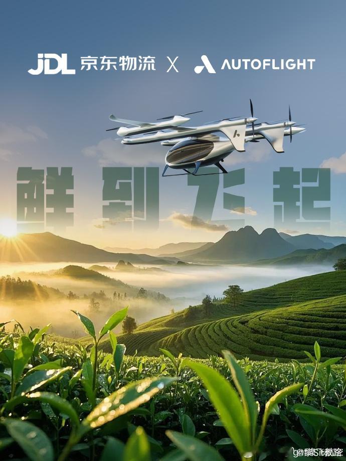 看来，京东要和峰飞联手搞事情。事实目前最有条件先投入入营的就是峰飞凯瑞鸥期待一下