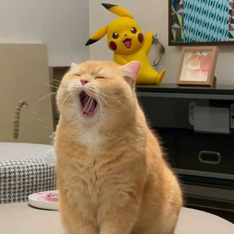 迎接招财猫，暴富 