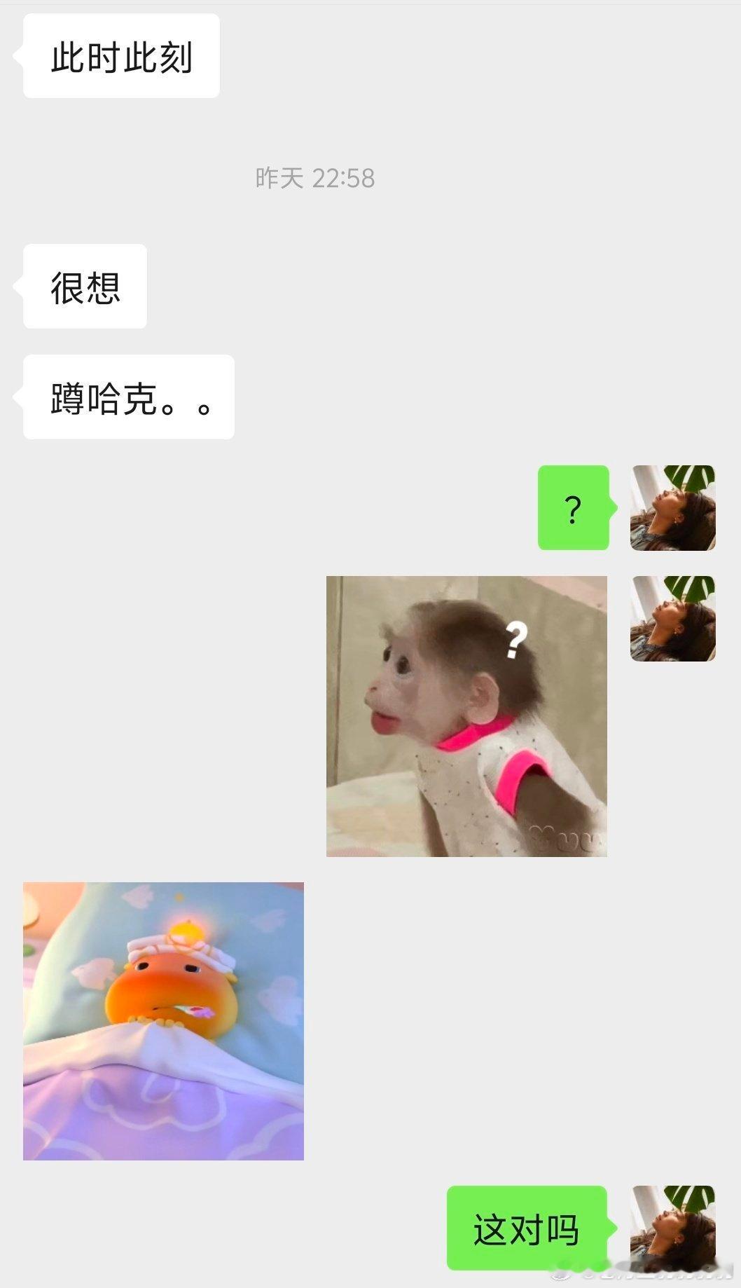 我不行了怎么会有人路都走不动但是想蹲哈克啊 