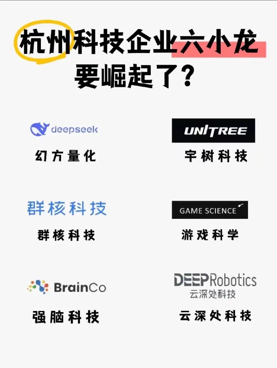 杭州科技企业“六小龙”闪亮登场：1. Deepseek（幻方量化）：这家企业专注