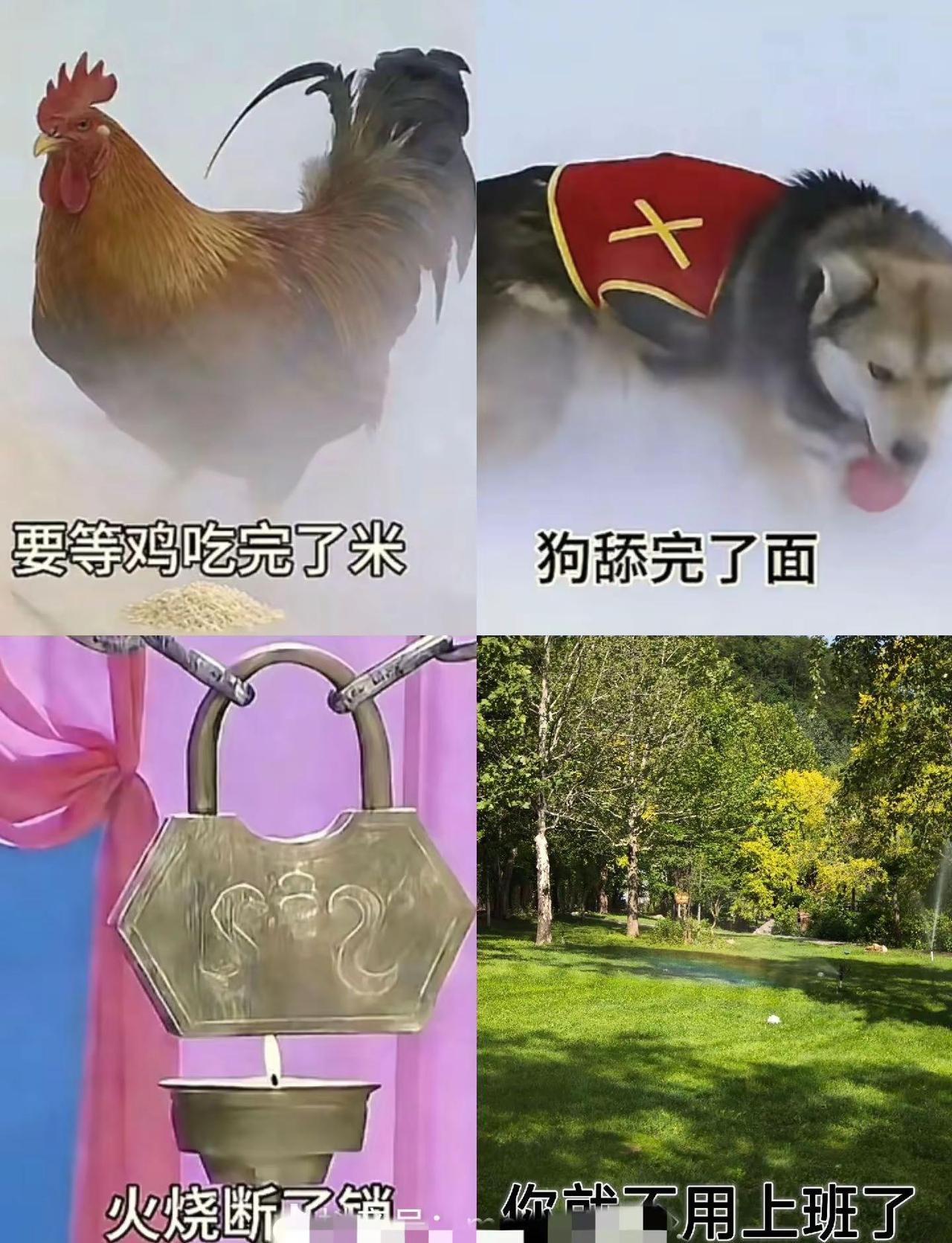 : 小时候不懂西游记，长大了才知道，生活就是81难等鸡吃完了米，狗舔完了面，火烧