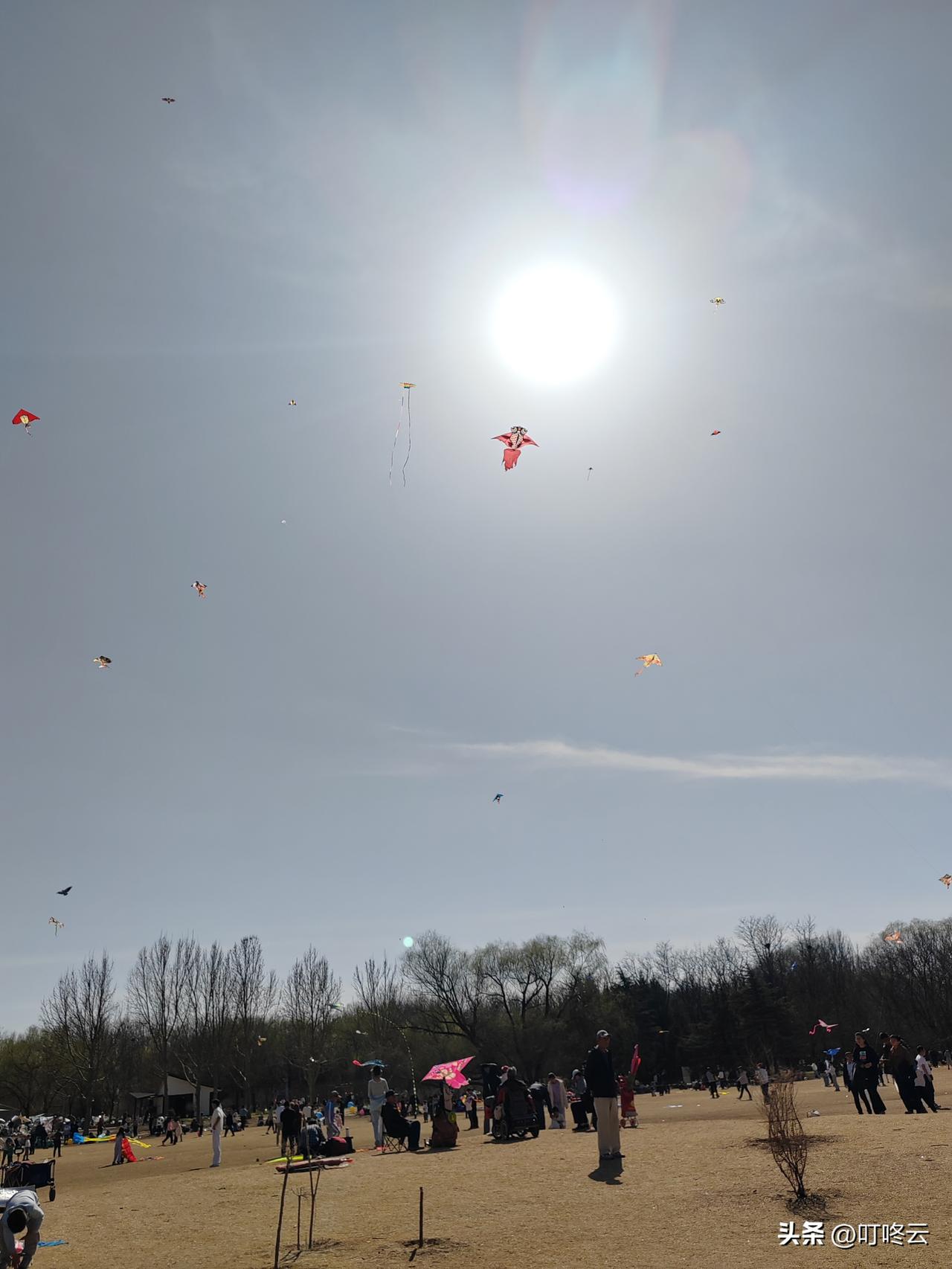 这样的景色你见过吗？北京海淀，鸢飞碧空！碧空如洗，云影无痕，几枝枯桠斜挑着澄澈天