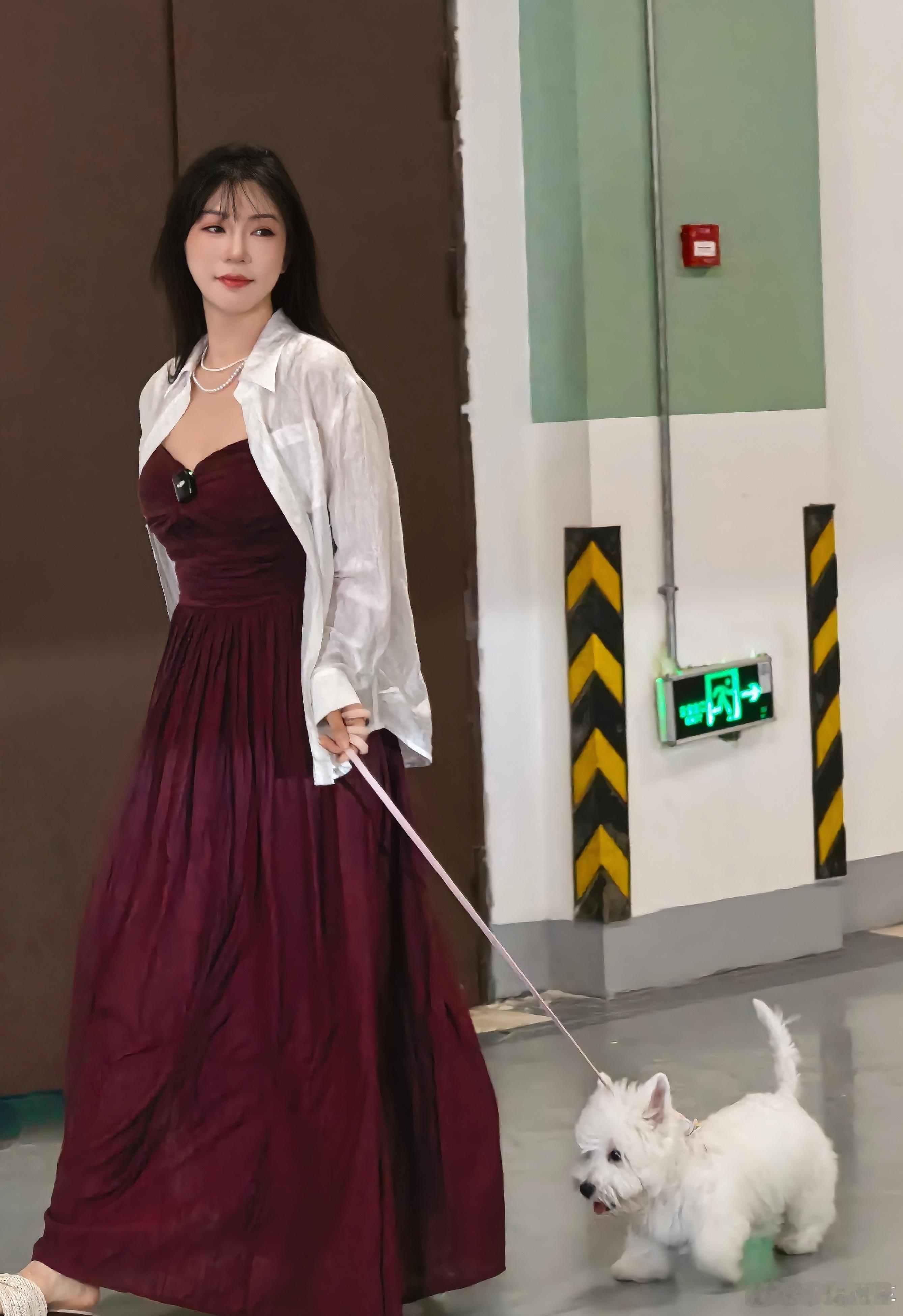 带小狗出去拍摄啦，小狗也很配合我，坐着趴着小小一只真可爱，满满的幸福感[害羞]问