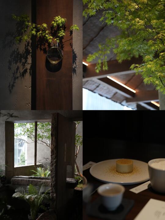 换个角落 与植物共事 。