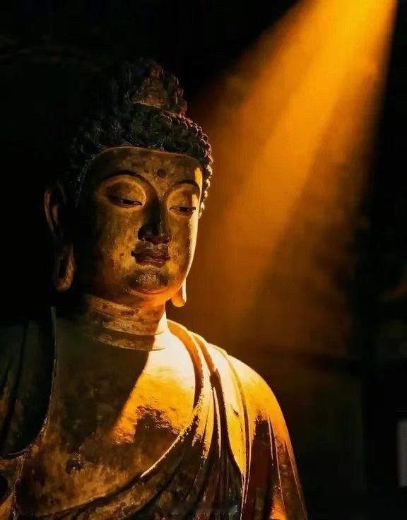 总觉的自命不凡，而今处处不顺才发现自己才是个笑话。读书也尽力了最终是个三本学历，