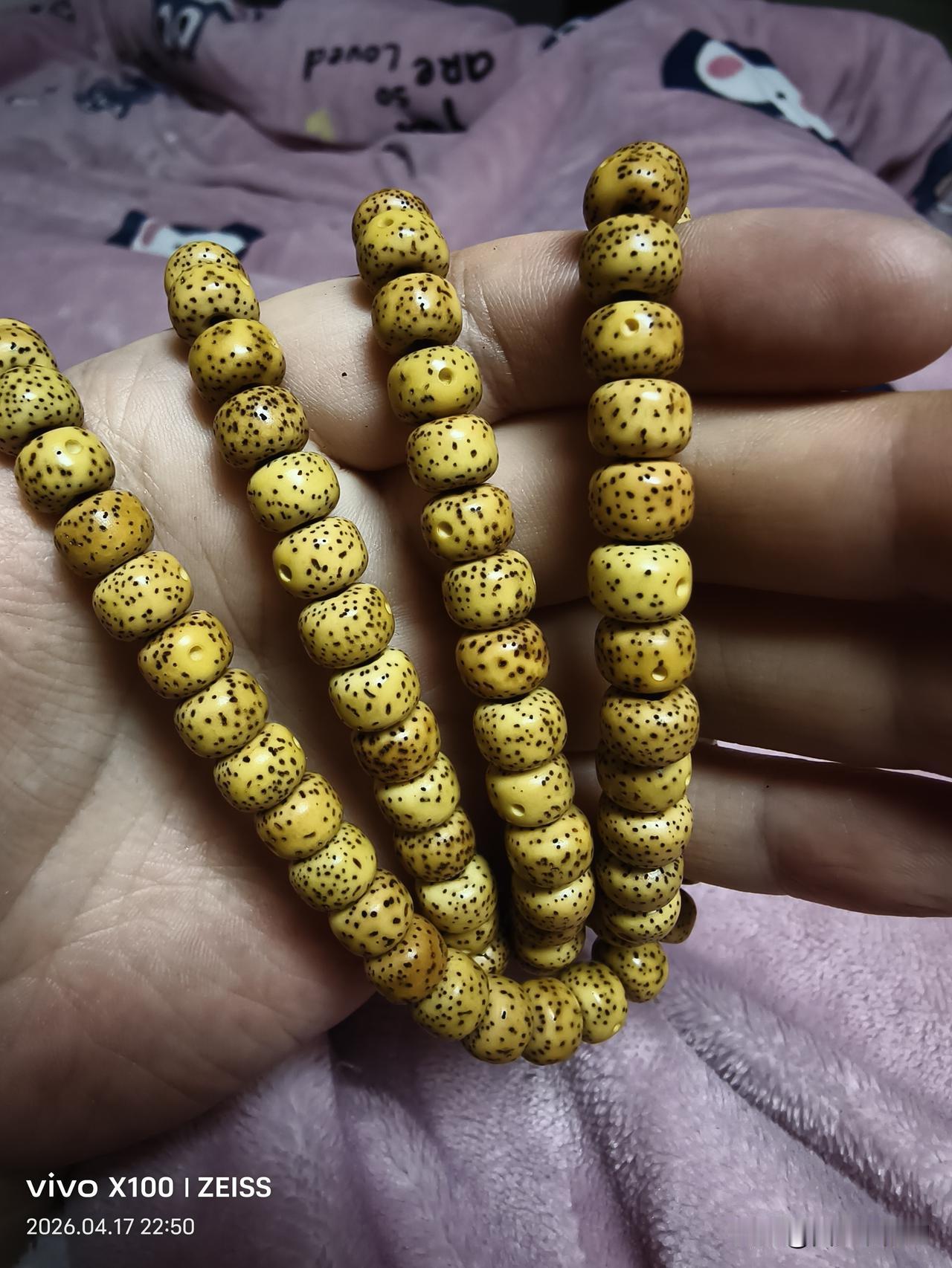 盘了两年的星月菩提，基本上有了所谓的鸡油色。
这东西买回来的时候是乳白色的，盘了