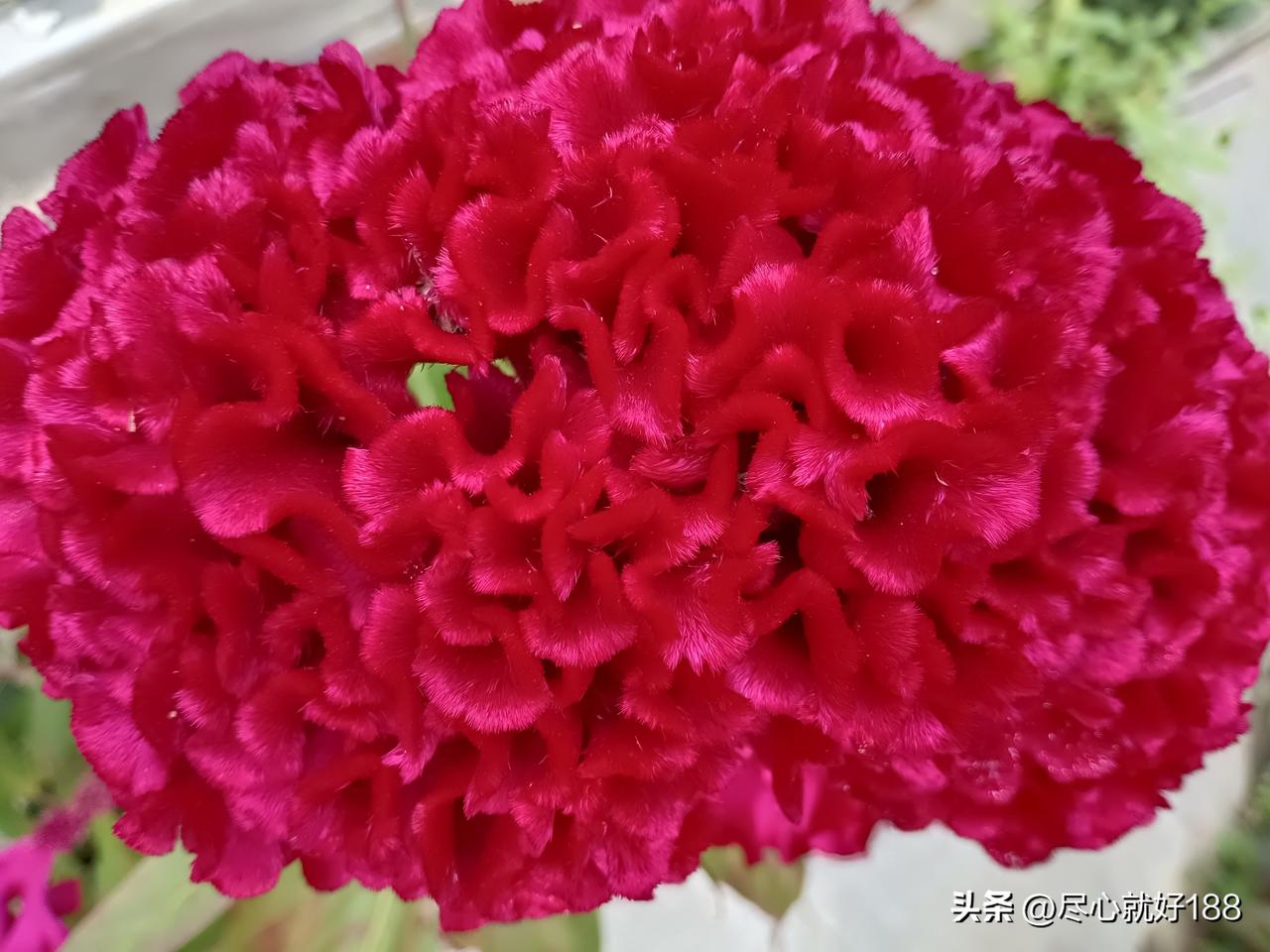 无论谁到我们家做客，过一会，妈妈就会下逐客令，就让人家走，一点含蓄表达没有。
