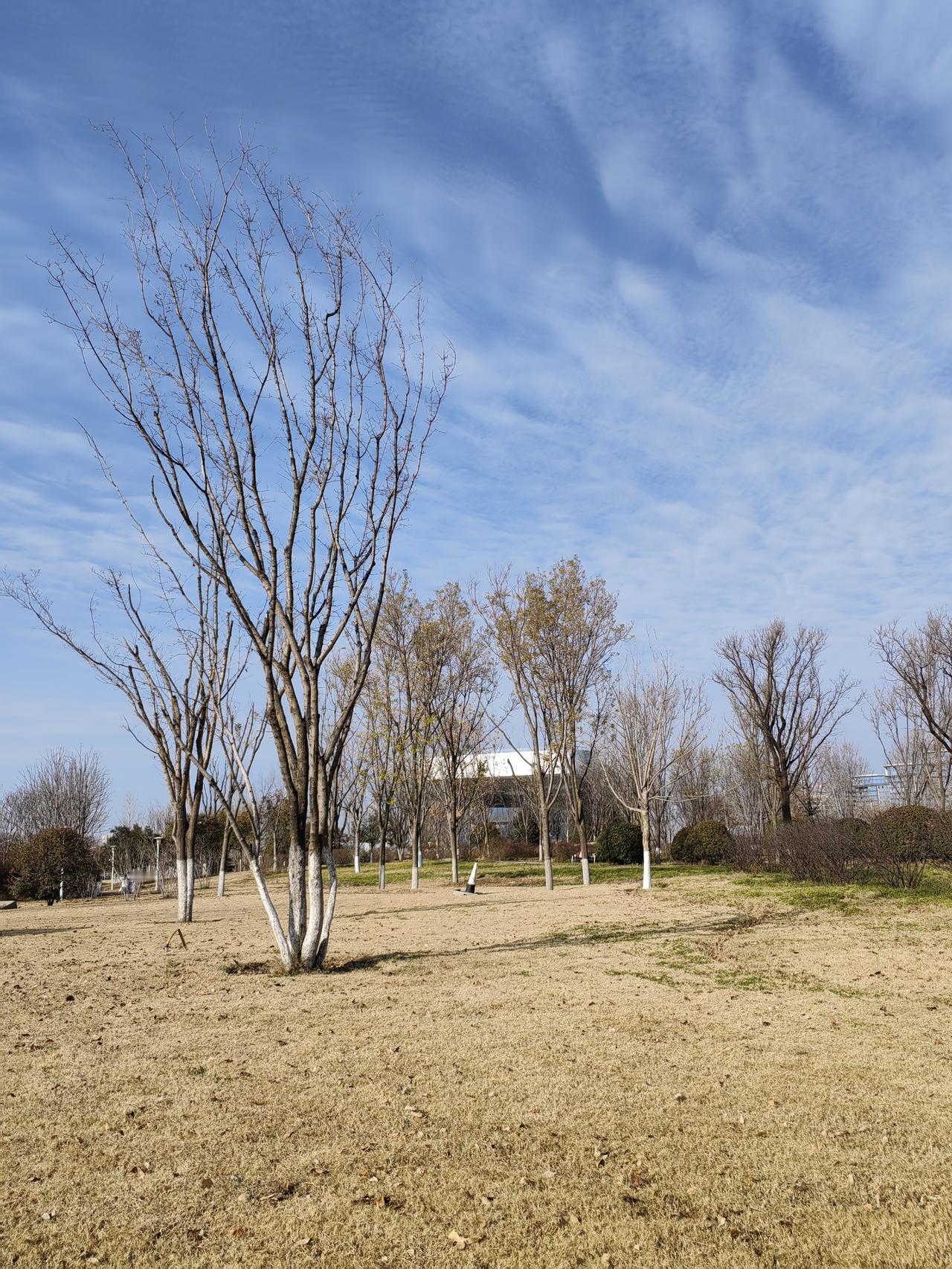 他强调，试点抓住了企业管理最基本的东西。在试点过程中不要贪大求全，坚持做简单的事