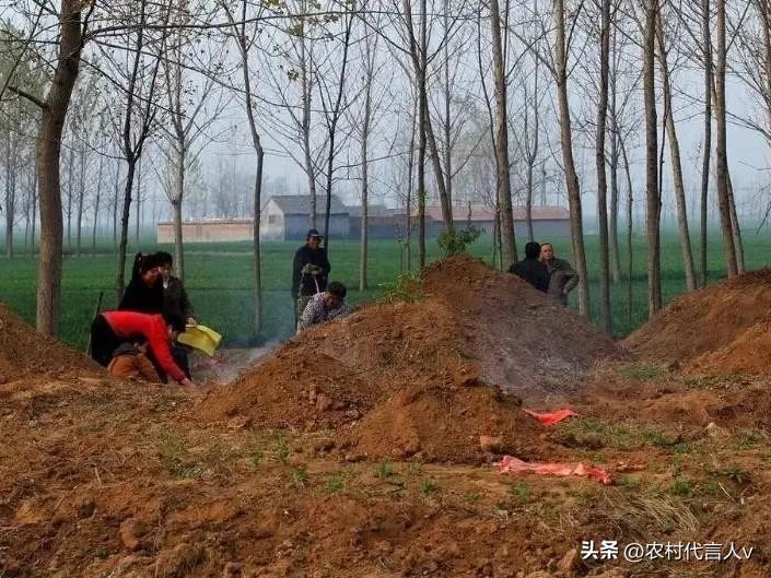 清明上坟带3样，不是迷信！老辈说带齐了，家兴人丁旺，藏着对先人的心意。
 
清明