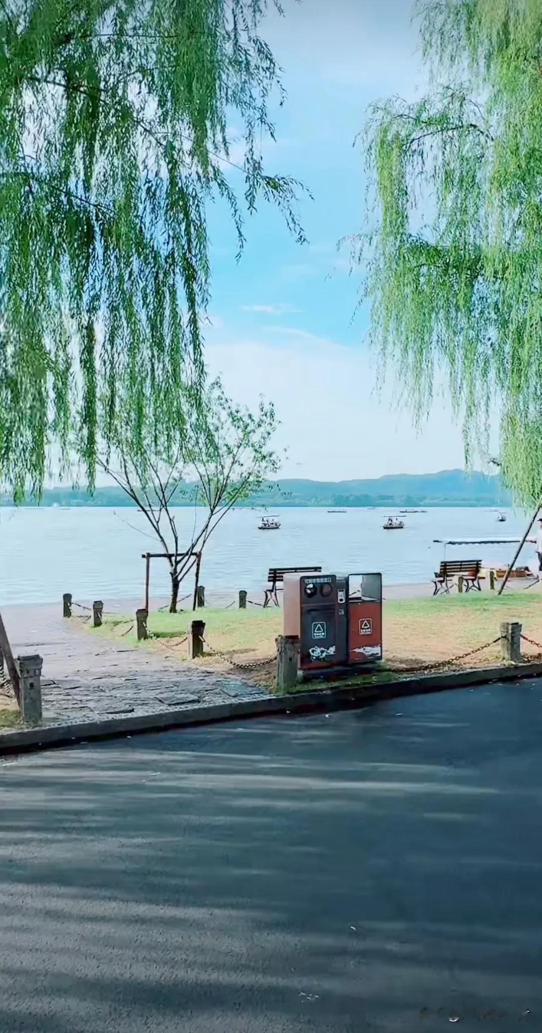 绿柳垂丝拂岸，碧潭映日照人。这儿哪里的风景，大家猜猜看👀。