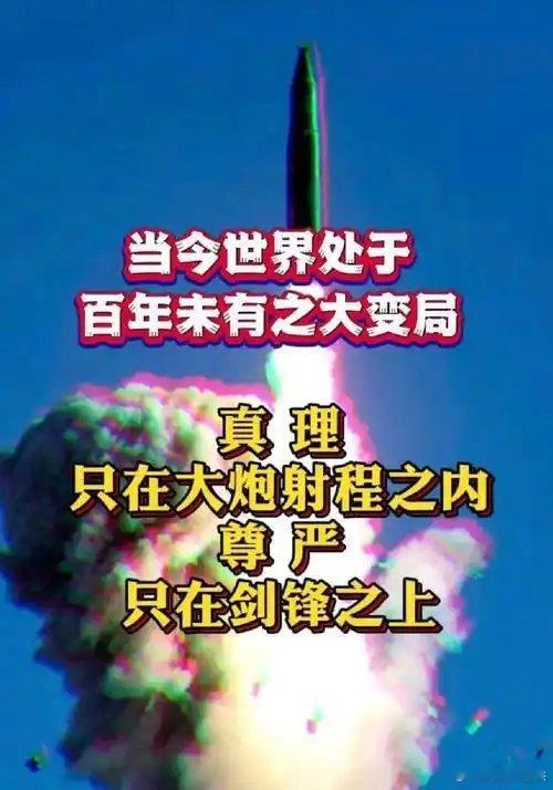 我是一个兵委内瑞拉代总统致信美国及世界 弱国无外交，真理只在大炮射程之内,尊严只