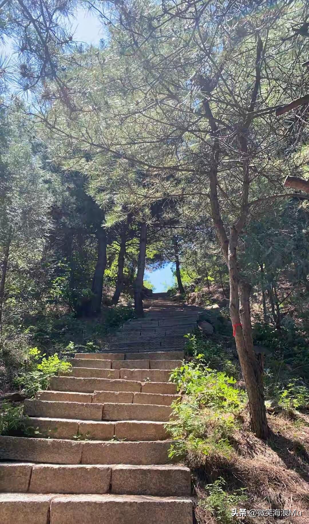 春天的小花，春天吐绿，春意盎然，春天特别的美好。